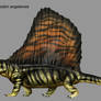 Dimetrodon angelensis