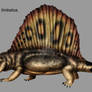 Dimetrodon limbatus