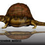 Dimetrodon milleri