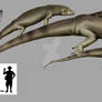 Heleosaurus scholtzi