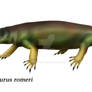 Mesenosaurus romeri