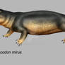 Ophiacodon mirus