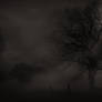 Misty Tree (Dark)