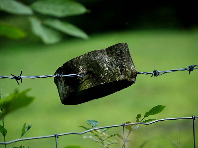 fence post