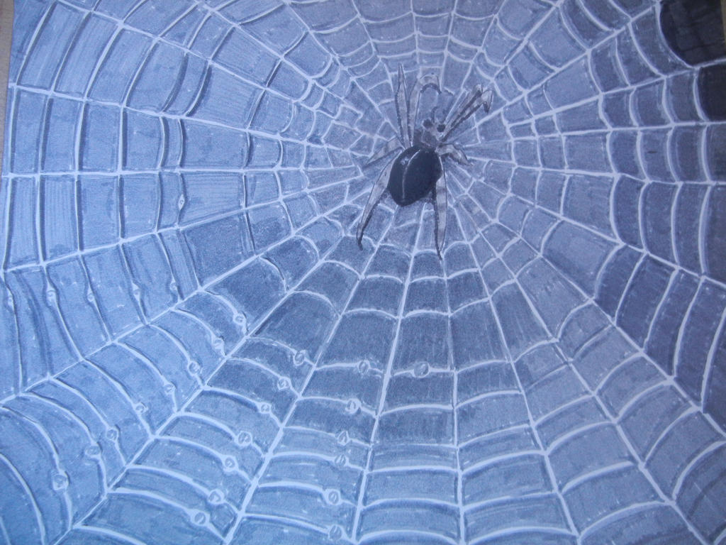 Spider's Web