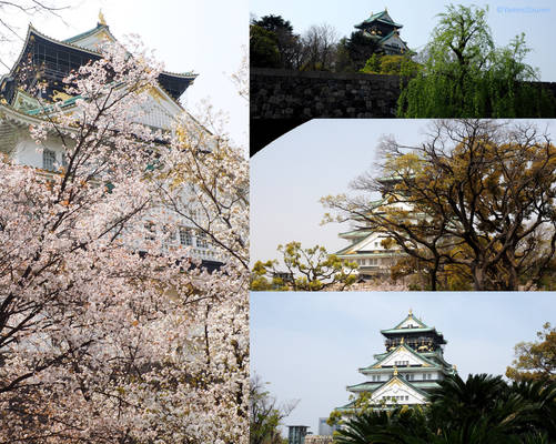Osaka-jo, 4 different views.