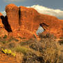 Late in the Day at Arches