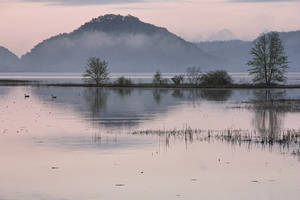 The Misty Mississippi