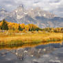 Schwabacher Reflections