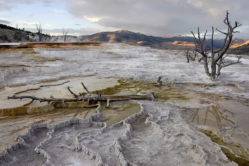 Mammoth Hot Springs at Dusk