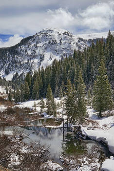 Fresh Snow on Top