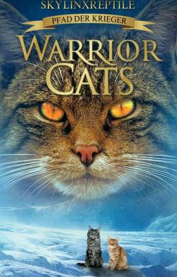 My Warrior Cats fanfiction cover by SkylinxReptile on DeviantArt