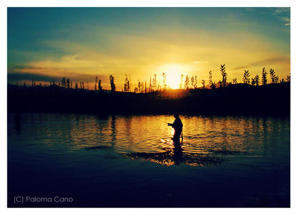 Landscape Palencia