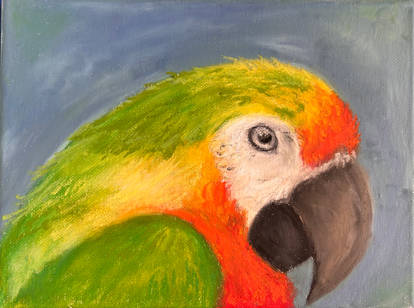 Parrot