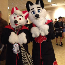 furries at anime conji 2014