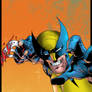 Wolverine's Fury