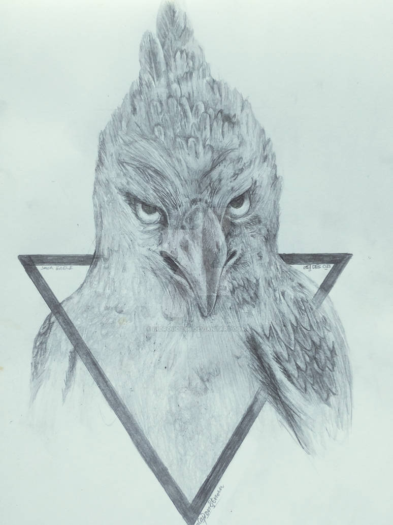 Java Eagle by indroucil86 on DeviantArt