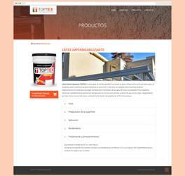 TOPTEX REVESTIMIENTOS website redesign (3 of 4)