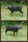 The Flock - Hooded Ewe