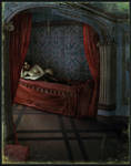 A Room by asunder