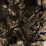 Ink Splatters