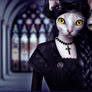 Mourning
