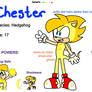 Reference sheet Chester