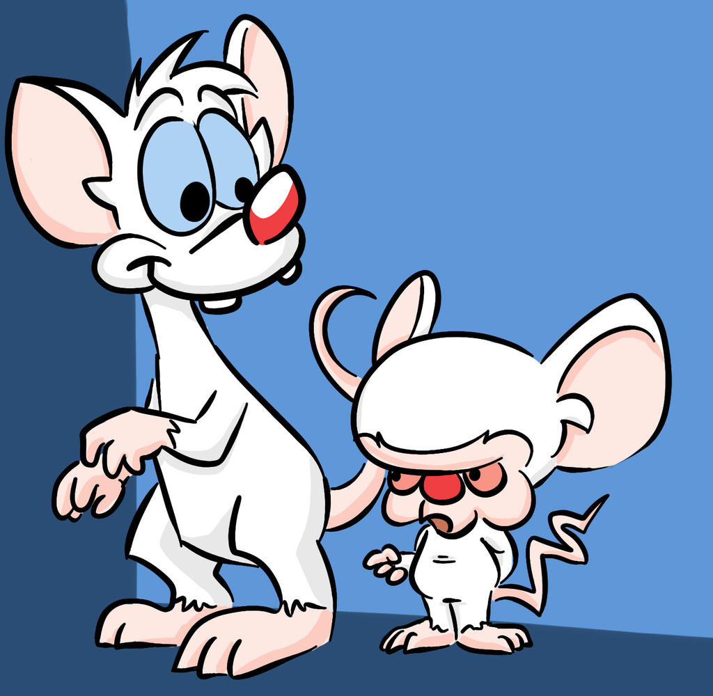 Pinky and the Brain