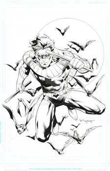 Nightwing commission