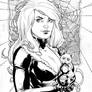 Black cat