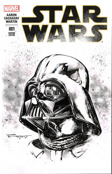 Darth Vader STX commission