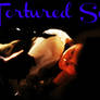Tortured Soul Book Cover