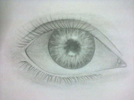 #1 The Eye