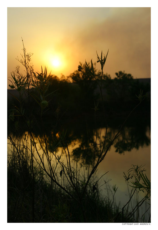 Smokey Sunset