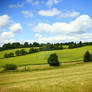 Czech Landscape