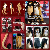 Lioness Suit + Character For Sale