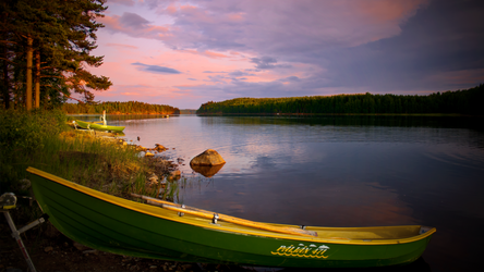 Boat in the shore