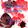 Photoshop Rose Brushes - set 1