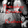 PS Feather Brushes - set 1