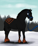 CCA: King Me Halter by s1088