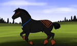 CCA: King Me Endurance by s1088