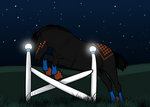 CCA: King Me Free Jumping by s1088