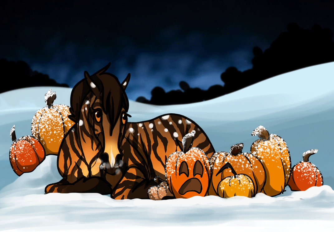Cool Pumpkins Cool Pumpkins