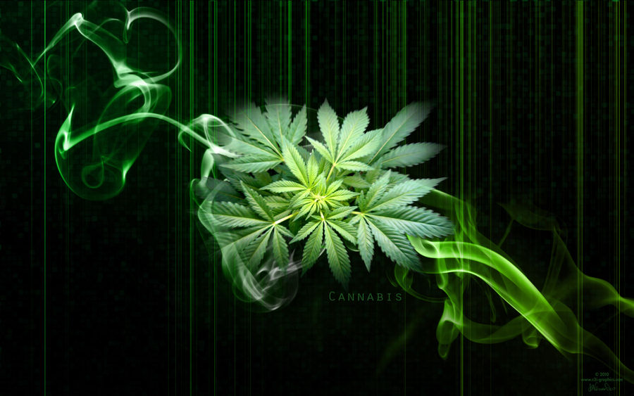 Cannabis WP