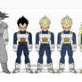 DBR Vegeta IV v??