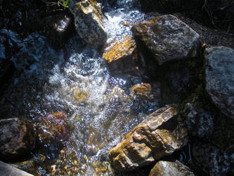 Water under the bridge