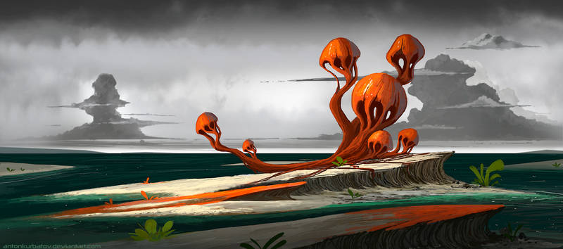 Red Shrooms 2