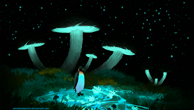 Penguin in the night