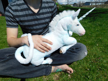 Unicorn foal lap dog