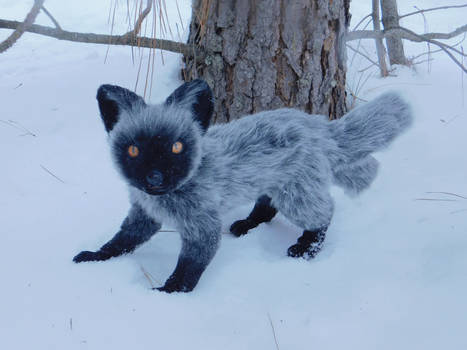 Winter silver Kitsune